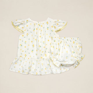 Conjunto Jesusito Helenium